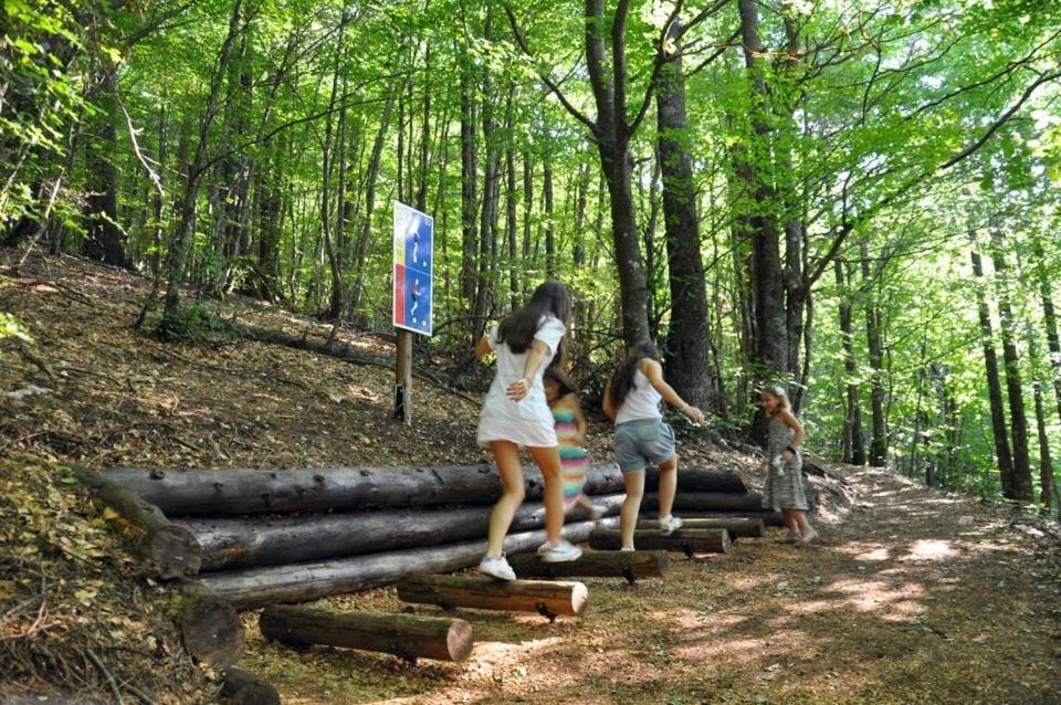 Hotel Snjezna Kuca - Nature Park Of Bosnia Herzegovina Padezina エクステリア 写真