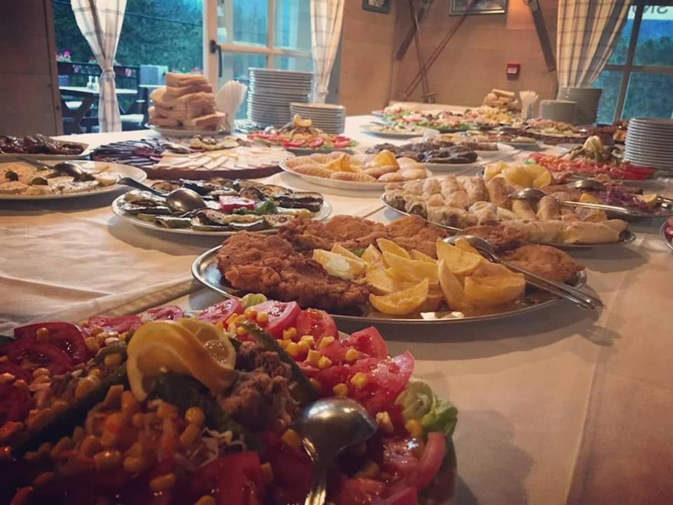 Hotel Snjezna Kuca - Nature Park Of Bosnia Herzegovina Padezina エクステリア 写真