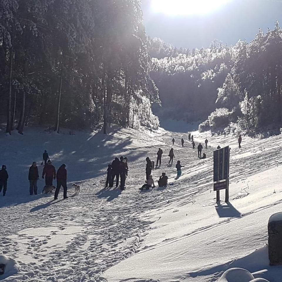 Hotel Snjezna Kuca - Nature Park Of Bosnia Herzegovina Padezina エクステリア 写真