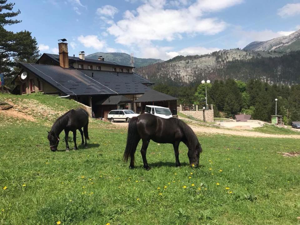 Hotel Snjezna Kuca - Nature Park Of Bosnia Herzegovina Padezina エクステリア 写真