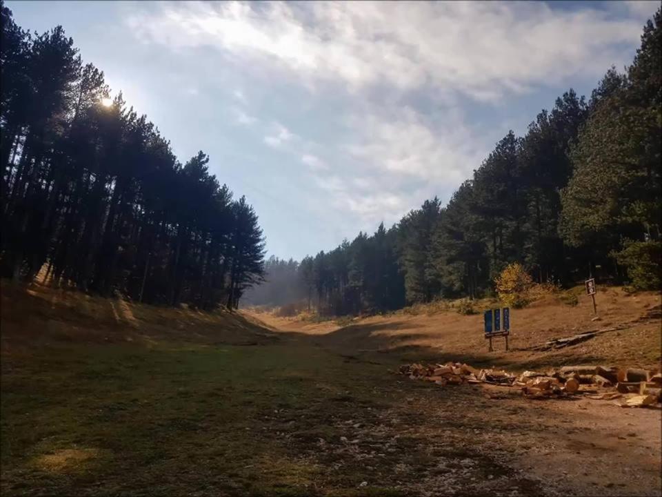 Hotel Snjezna Kuca - Nature Park Of Bosnia Herzegovina Padezina エクステリア 写真