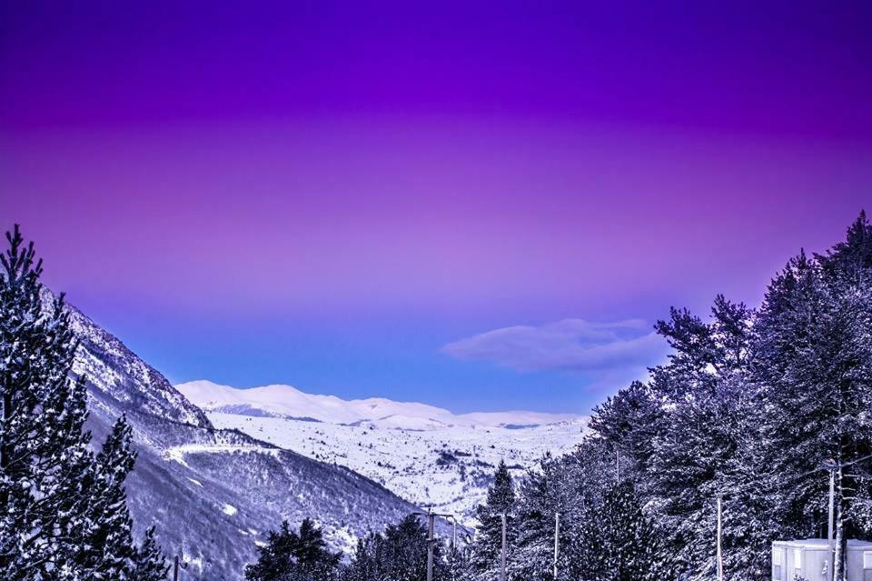 Hotel Snjezna Kuca - Nature Park Of Bosnia Herzegovina Padezina エクステリア 写真
