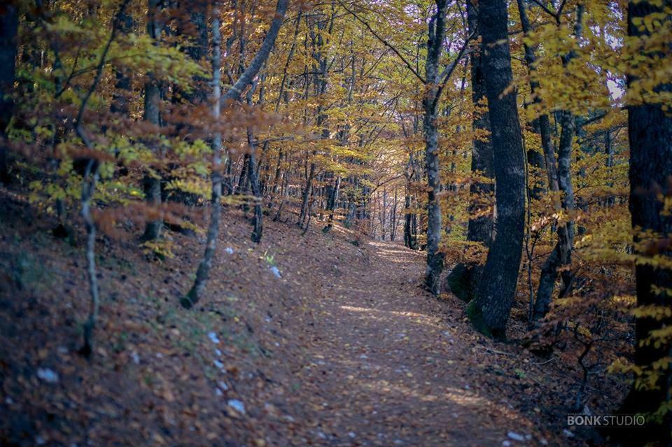 Hotel Snjezna Kuca - Nature Park Of Bosnia Herzegovina Padezina エクステリア 写真