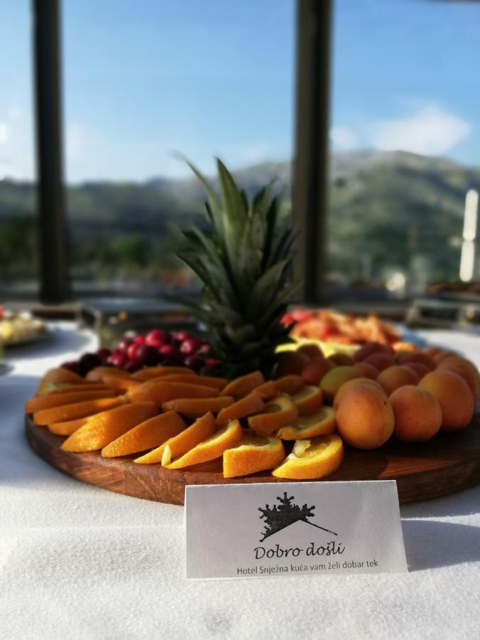Hotel Snjezna Kuca - Nature Park Of Bosnia Herzegovina Padezina エクステリア 写真